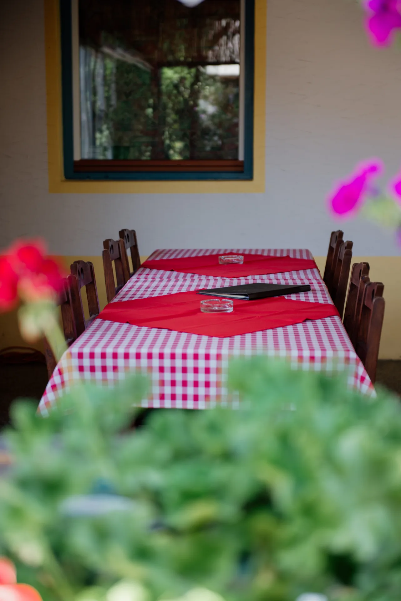 Mirno okruženje bašte — Čarda kod Antuša, Peščarina
